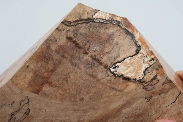 Buk Beech Wood Spalted drewno do toczenia wood for turning