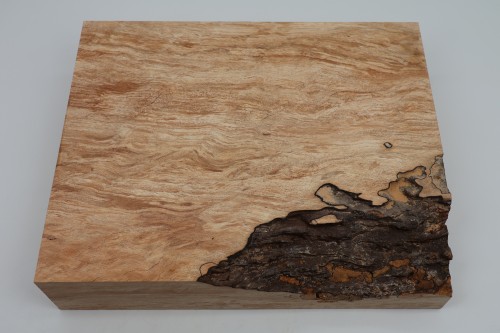 Buk Beech Wood Spalted drewno do toczenia kantówka wood for turning Timber