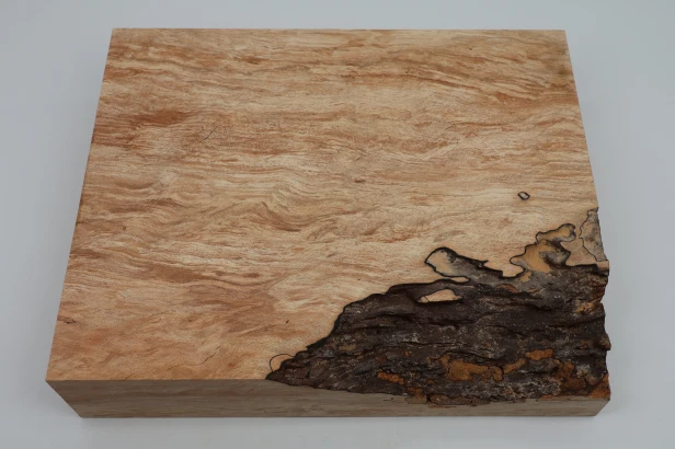 Buk Beech Wood Spalted drewno do toczenia kantówka wood for turning Timber