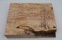 Buk Beech Wood Spalted drewno do toczenia kantówka wood for turning Timber