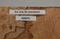 Buk Beech Wood Spalted drewno do toczenia kantówka wood for turning Timber