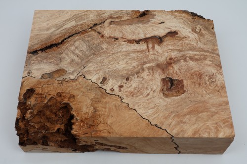Buk Beech Wood Spalted drewno do toczenia kantówka wood for turning Timber