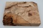 Buk Beech Wood Spalted drewno do toczenia kantówka wood for turning Timber