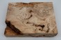 Buk Beech Wood Spalted drewno do toczenia kantówka wood for turning Timber
