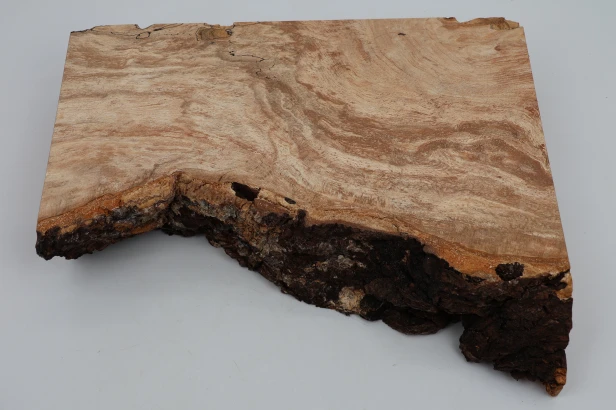 Buk Beech Wood Spalted drewno do toczenia kantówka wood for turning Timber