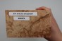 Buk Beech Wood Spalted drewno do toczenia kantówka wood for turning Timber