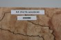 Buk Beech Wood Spalted drewno do toczenia kantówka wood for turning Timber