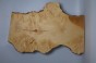 Klon jesionolistny czeczot Ash-leaf Maple Burl deska drewniana wooden board