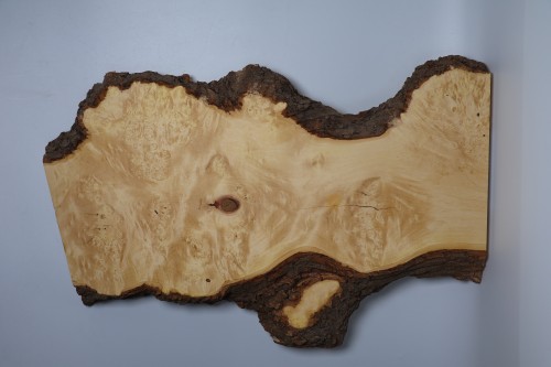 Klon jesionolistny czeczot Ash-leaf Maple Burl deska drewniana wooden board