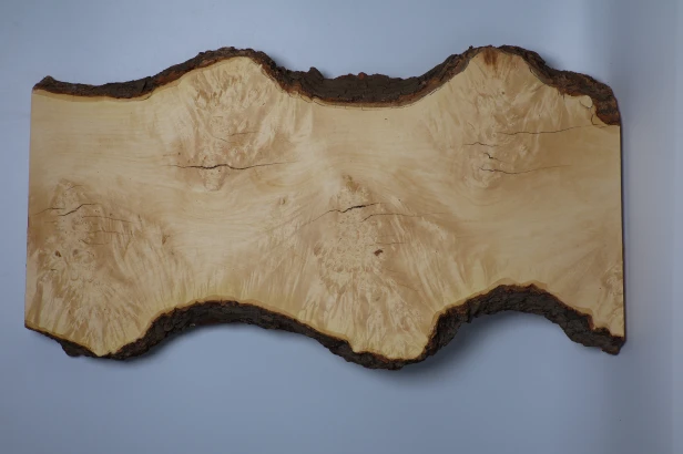 Klon jesionolistny czeczot Ash-leaf Maple Burl deska drewniana wooden board
