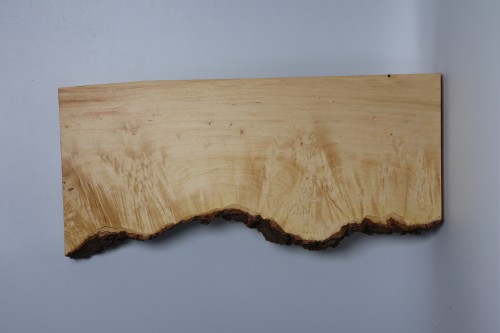 Klon jesionolistny czeczot Ash-leaf Maple Burl deska drewniana wooden board