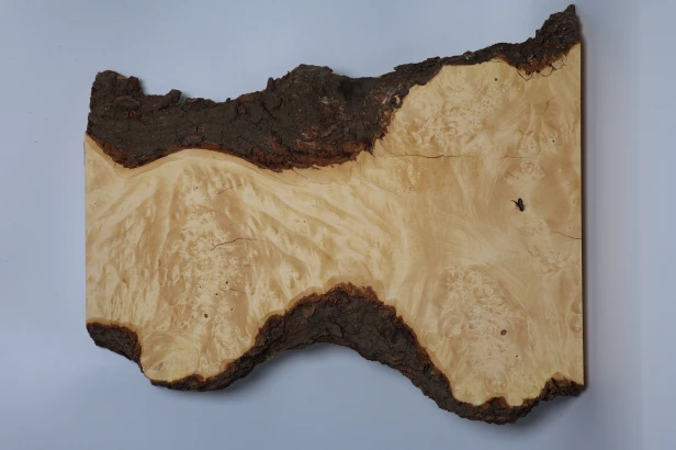 Klon jesionolistny czeczot Ash-leaf Maple Burl deska drewniana wooden board