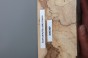 Klon Maple Spalted drewno do toczenia kantówka wood for turning Timber