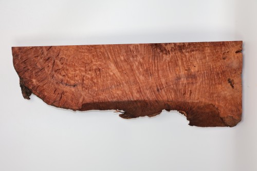 Sekwoja czeczot Sequoia Redwood Burl