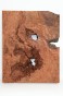Sekwoja czeczot Sequoia Redwood Burl