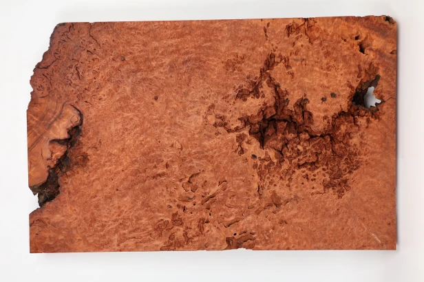 Sekwoja czeczot Sequoia Redwood Burl
