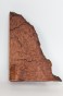 Sekwoja czeczot Sequoia Redwood Burl