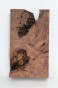 Sekwoja czeczot Sequoia Redwood Burl