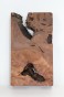 Sekwoja czeczot Sequoia Redwood Burl