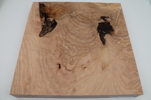Jesion Spalted Fala Flame Ash drewno do toczenia wood for turning