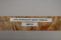 Klon jesionolistny czeczot Ash-leaf Maple Burl drewno na biżuterię wood for jewelry