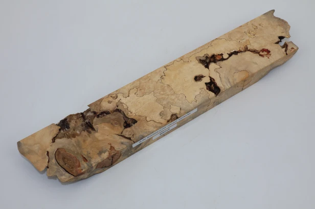 Klon jesionolistny czeczot Ash-leaf Maple Burl drewno na biżuterię wood for jewelry
