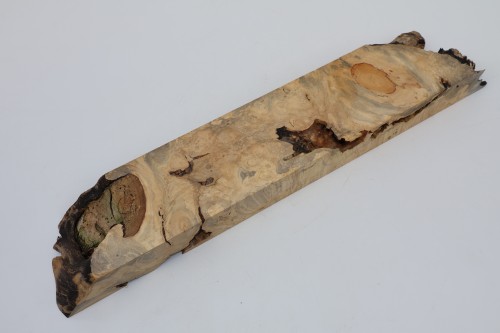 Klon jesionolistny czeczot Ash-leaf Maple Burl drewno na biżuterię wood for jewelry