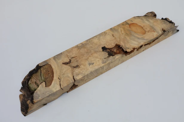 Klon jesionolistny czeczot Ash-leaf Maple Burl drewno na biżuterię wood for jewelry