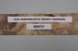 Klon jesionolistny czeczot Ash-leaf Maple Burl drewno na biżuterię wood for jewelry