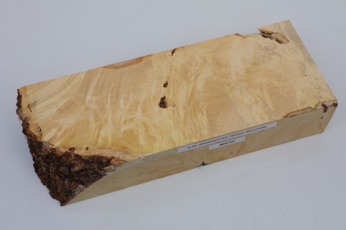 Klon jesionolistny czeczot Ash-leaf Maple Burl drewno na biżuterię wood for jewelry