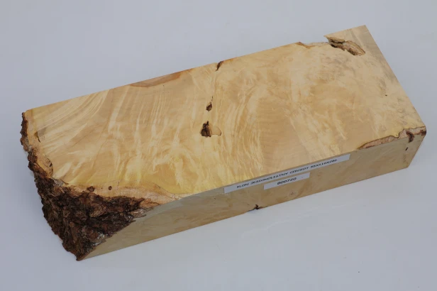 Klon jesionolistny czeczot Ash-leaf Maple Burl drewno na biżuterię wood for jewelry