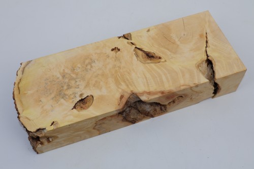 Klon jesionolistny czeczot Ash-leaf Maple Burl drewno na biżuterię wood for jewelry