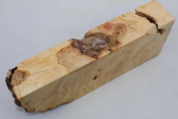 Klon jesionolistny czeczot Ash-leaf Maple Burl drewno na biżuterię wood for jewelry
