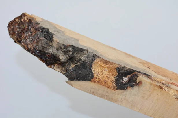 Klon jesionolistny czeczot Ash-leaf Maple Burl drewno na biżuterię wood for jewelry