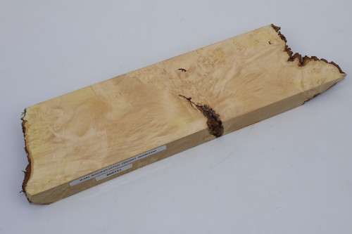 Klon jesionolistny czeczot Ash-leaf Maple Burl drewno na biżuterię wood for jewelry