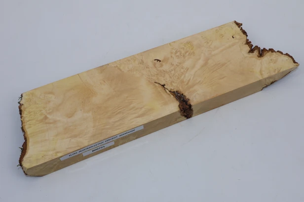 Klon jesionolistny czeczot Ash-leaf Maple Burl drewno na biżuterię wood for jewelry