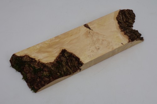 Klon jesionolistny czeczot Ash-leaf Maple Burl drewno na biżuterię wood for jewelry