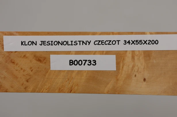 Klon jesionolistny czeczot Ash-leaf Maple Burl drewno na biżuterię wood for jewelry