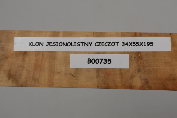 Klon jesionolistny czeczot Ash-leaf Maple Burl drewno na biżuterię wood for jewelry