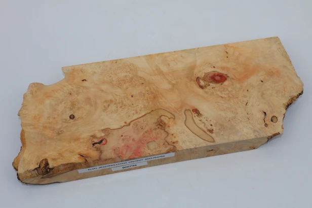 Klon jesionolistny czeczot Ash-leaf Maple Burl drewno na biżuterię wood for jewelry