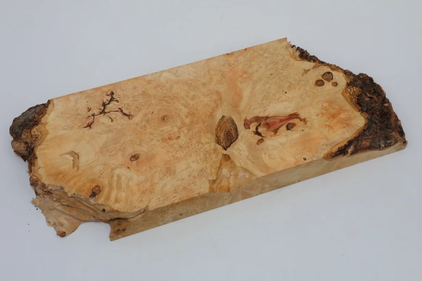 Klon jesionolistny czeczot Ash-leaf Maple Burl drewno na biżuterię wood for jewelry