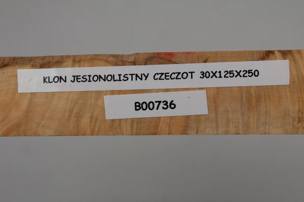 Klon jesionolistny czeczot Ash-leaf Maple Burl drewno na biżuterię wood for jewelry