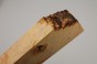 Klon jesionolistny czeczot Ash-leaf Maple Burl drewno na biżuterię wood for jewelry