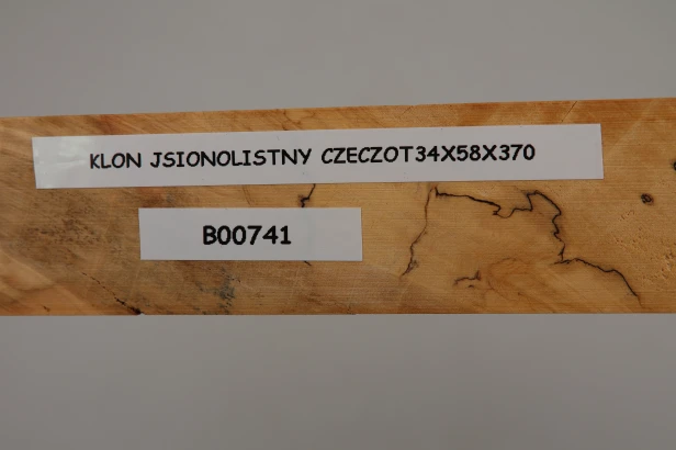 Klon jesionolistny czeczot Ash-leaf Maple Burl drewno na biżuterię wood for jewelry