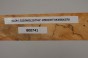 Klon jesionolistny czeczot Ash-leaf Maple Burl drewno na biżuterię wood for jewelry