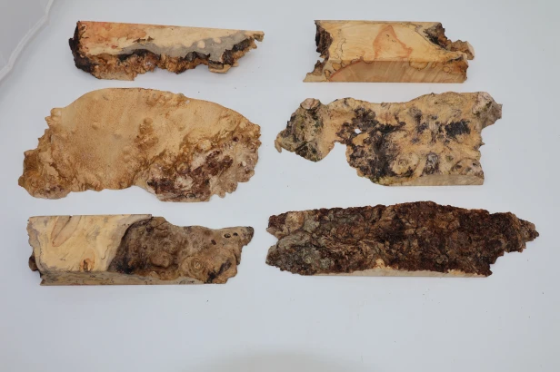 Klon jesionolistny czeczot Ash-leaf Maple Burl drewno na biżuterię wood for jewelry