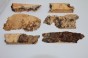 Klon jesionolistny czeczot Ash-leaf Maple Burl drewno na biżuterię wood for jewelry