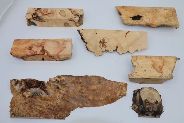 Klon jesionolistny czeczot Ash-leaf Maple Burl drewno na biżuterię wood for jewelry