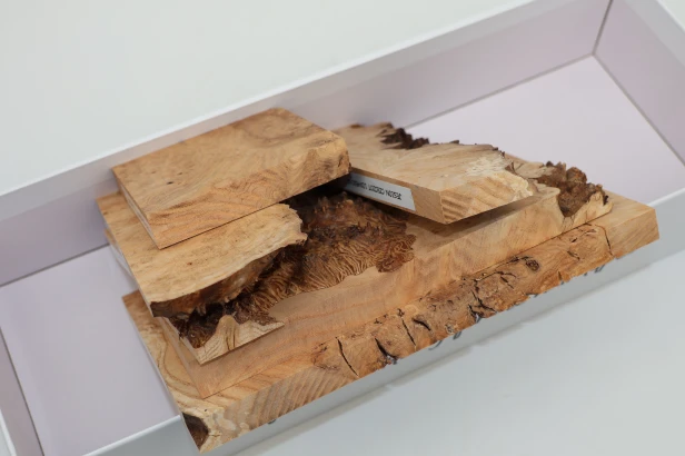Jesion czeczot Burl Ash drewno na biżuterię wood for jewelry