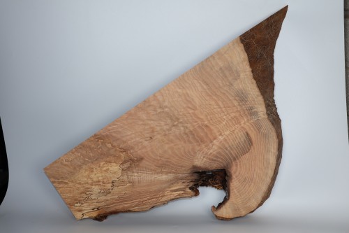 Jesion Spalted Fala Flame Ash